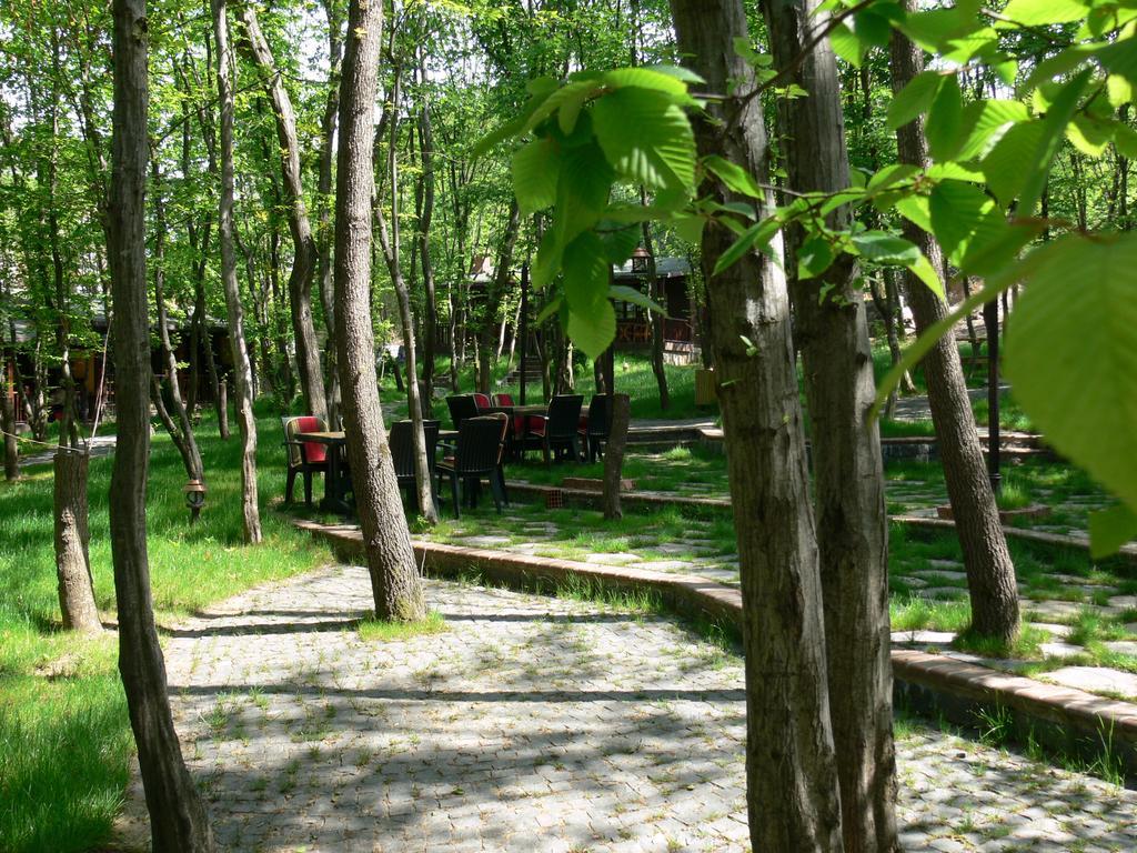 Dolunay Fanizan Hotel Fatsa Exterior foto